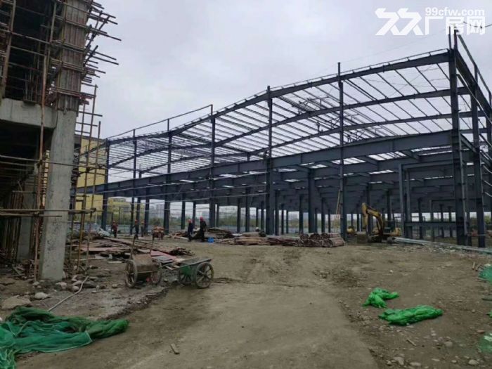 出售成都市工业园区标准厂房,50年产权全新厂房 - 5