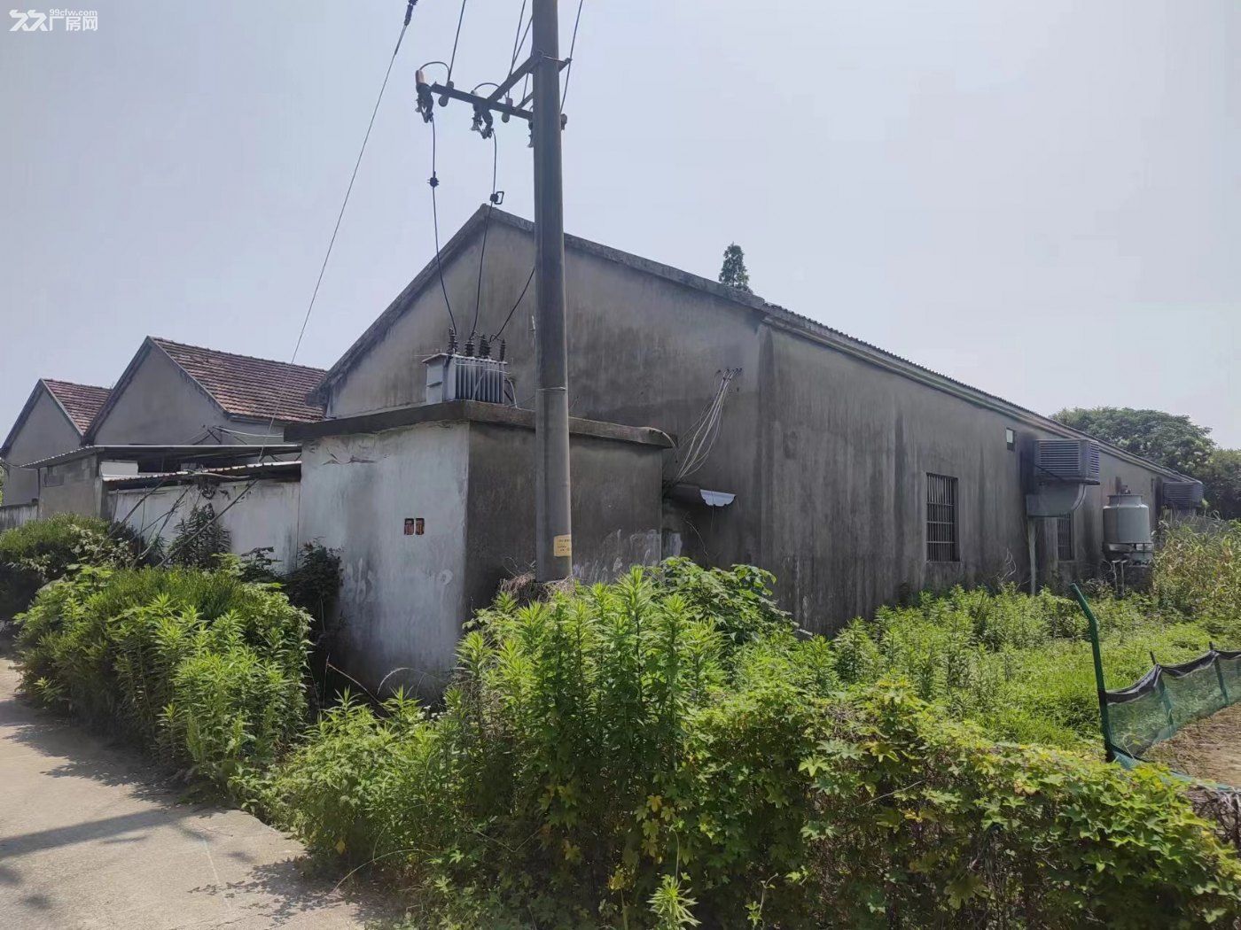 【稀缺资源】湖州南浔双林2100㎡平层厂房,配套冷冻库、10KV专变农业电 - 3