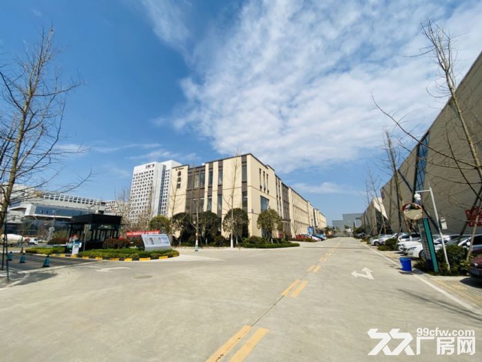 高新南5G通信物联网AI产业园生产研发,500平起机场高速旁 - 3
