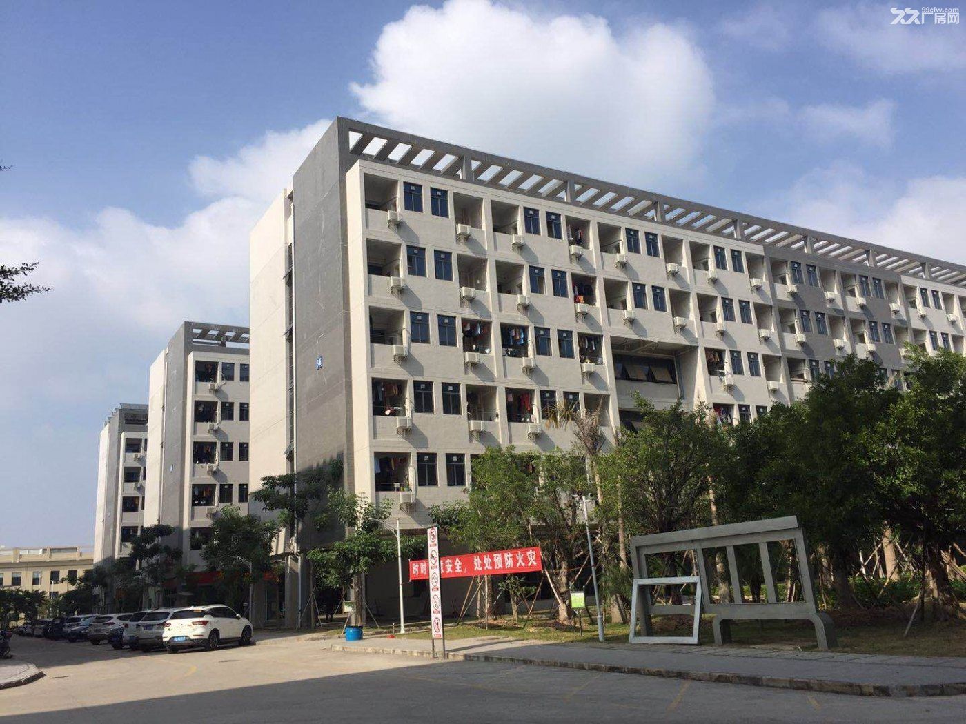 惠城区马安新乐附近工业区内空出10米高钢构低价出租 - 6