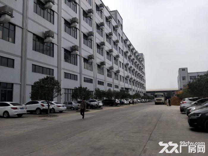 江门蓬江荷塘现装修贸易办公型厂房仓库1000至5000出租 - 5