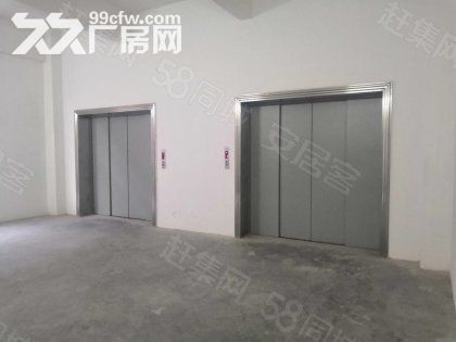 江门鹤山工业新城标准厂房招租2000平方一层,可分层出租 - 5