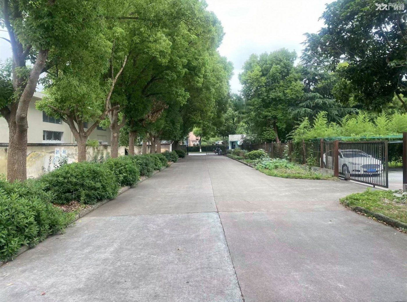 房东出租:松江茸北路单层独栋厂房仓库出租 - 2