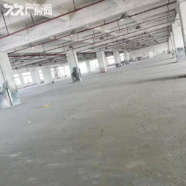 江门开平市金鸡镇80000平方工业园招商引咨，可分栋出租 - 2