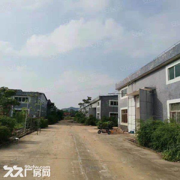 江门开平市金鸡镇80000平方工业园招商引咨，可分栋出租 - 8