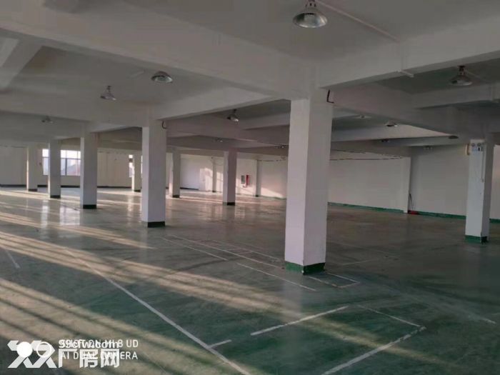 闻堰单层1400方标准厂房，适合淘宝仓库直接拎包 - 6