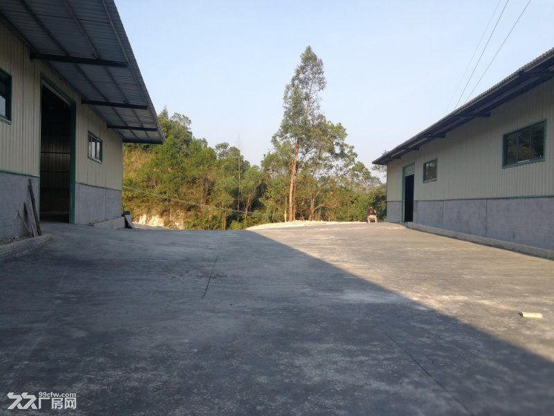 《《合》》惠城区原房东单层钢构1200平方出租 - 5