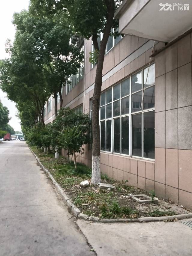 厂房出租,嘉兴都有,面积大小可环评 - 7