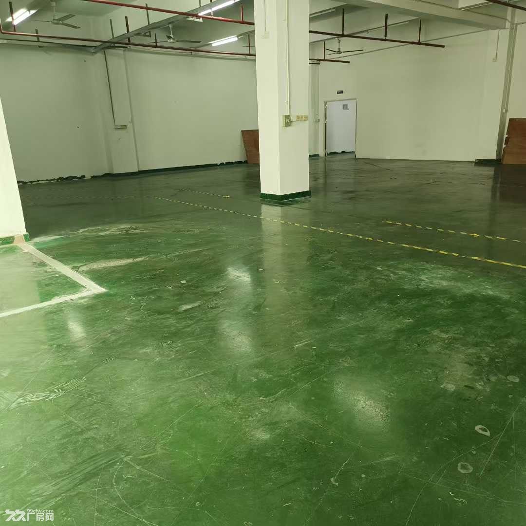 深圳龙华科技园精装修厂房800平米出租 - 4