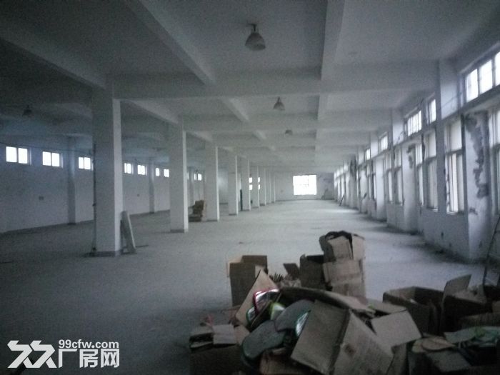 东山药品仓库3200平方厂房招租,高5.5米 符合药品仓库