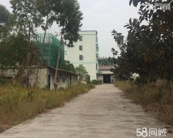 《《合》》马安单层钢构4500平方出租 - 5