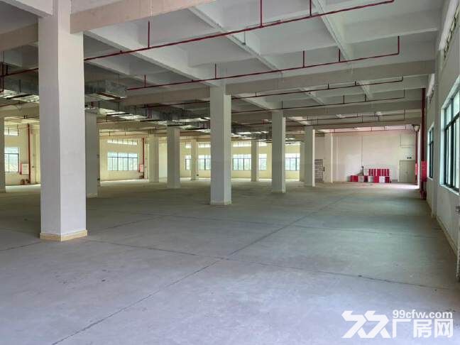 增城新塘工业园独院厂房7500平出租,可分租,带货梯,空地大,消防齐全 - 3