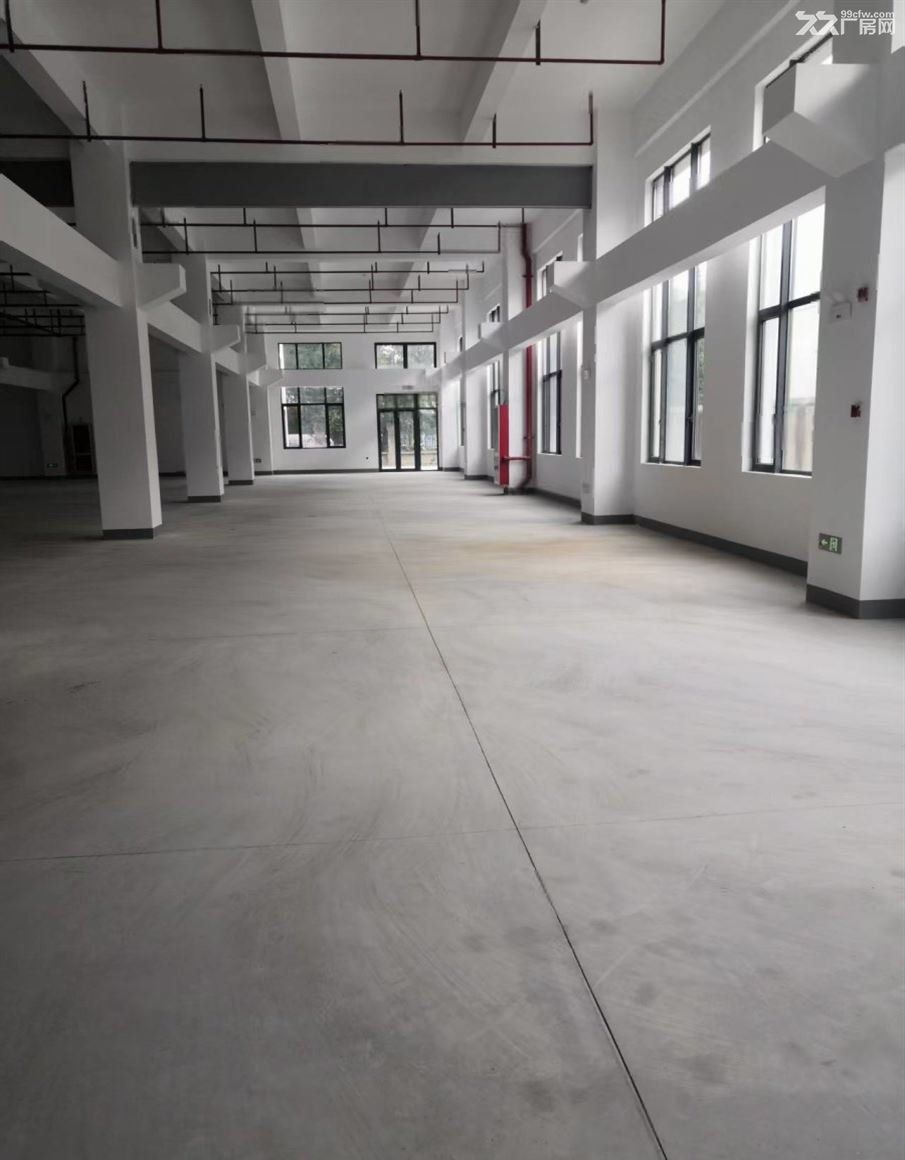 无：房东直租：青浦工业园区 独门独院纽珑科创园区 老板直租厂房 大车好进 - 7