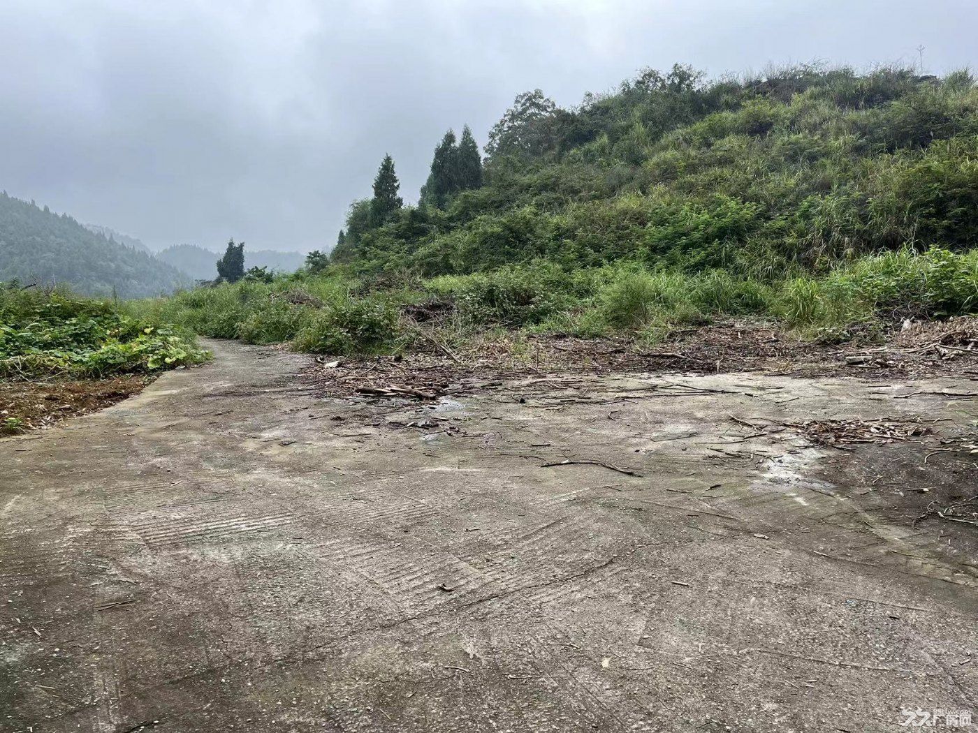 重庆工贸职业技术学院附近涪陵区荔枝街道独门独院厂房仓库场地租 - 5