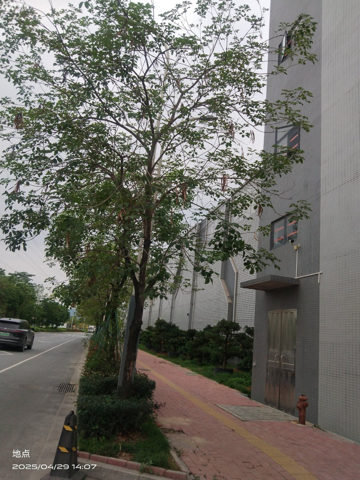 一手全新厂房，交通便利，价格优惠 - 3