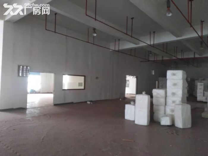 AA胜浦独门独院4700平标准厂房 可架行车 精装办公室 - 2