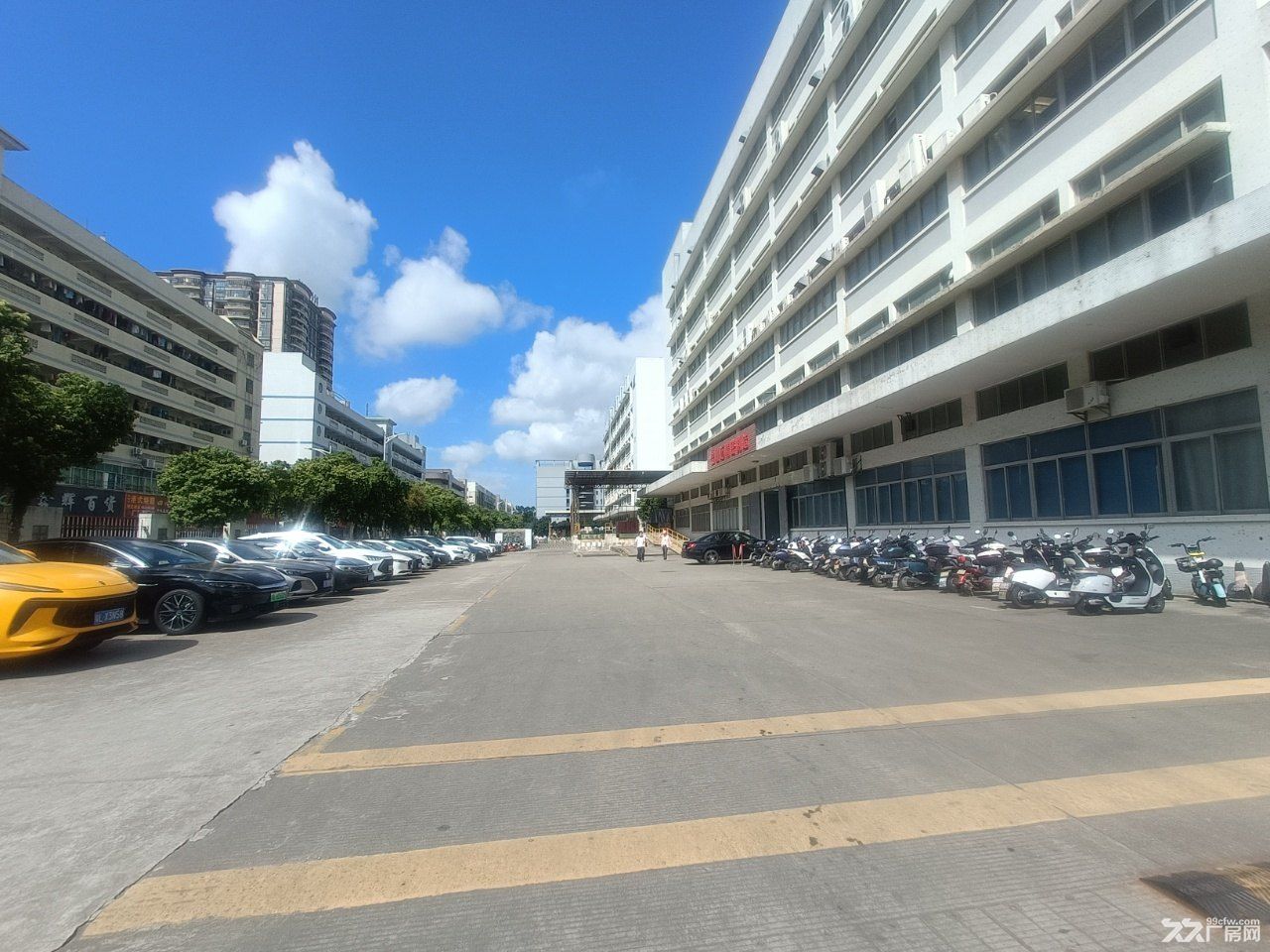 石岩塘头原房东独门独院实际面积12540平厂房出租 - 3