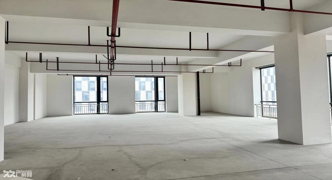 张江新建研发园 适合研发实验办公 办公带装修实验室毛坯 - 5