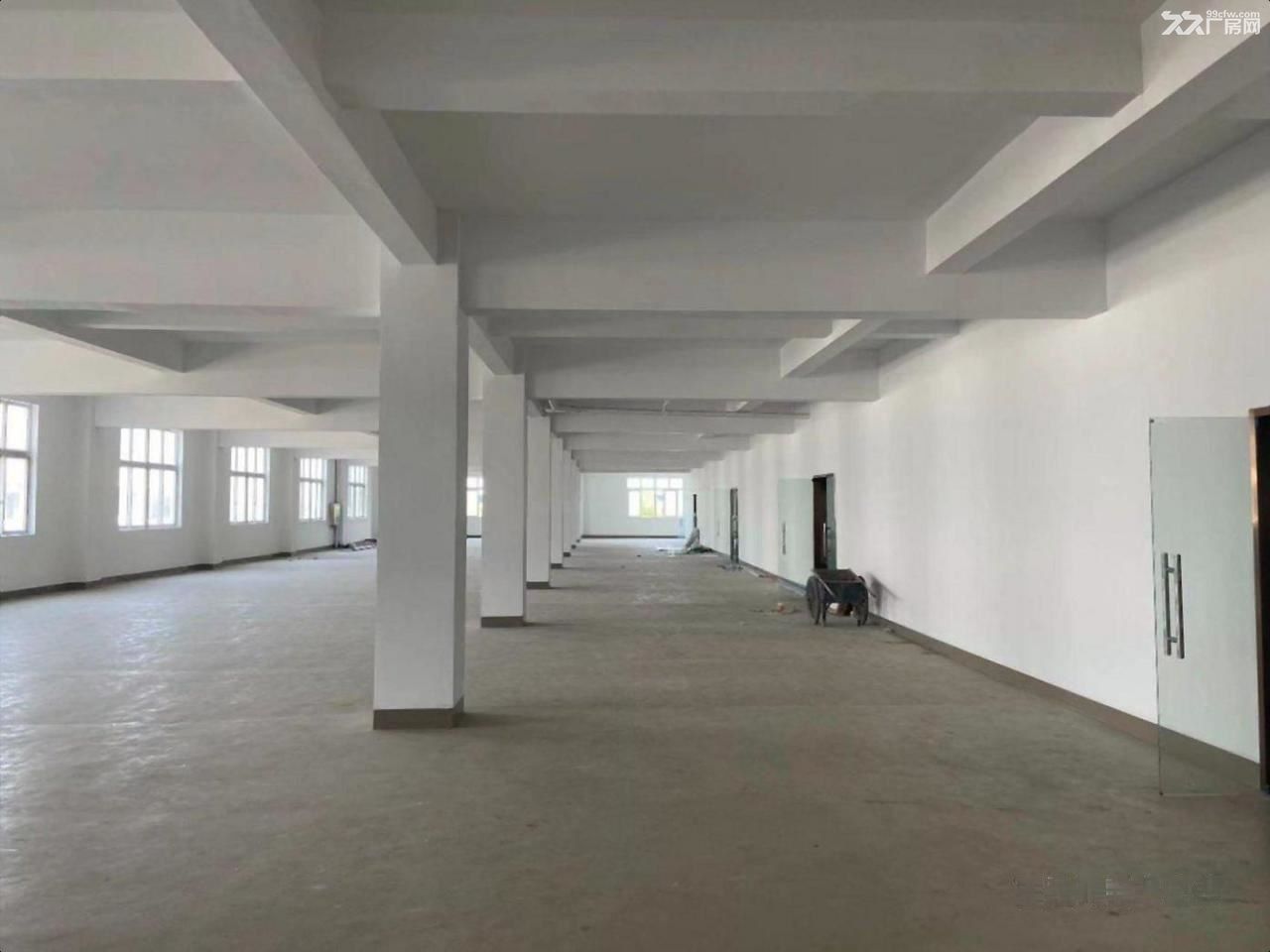 嘉定-安亭 于塘路/宝安公路(路口) 正规 不后悔的选择 - 5