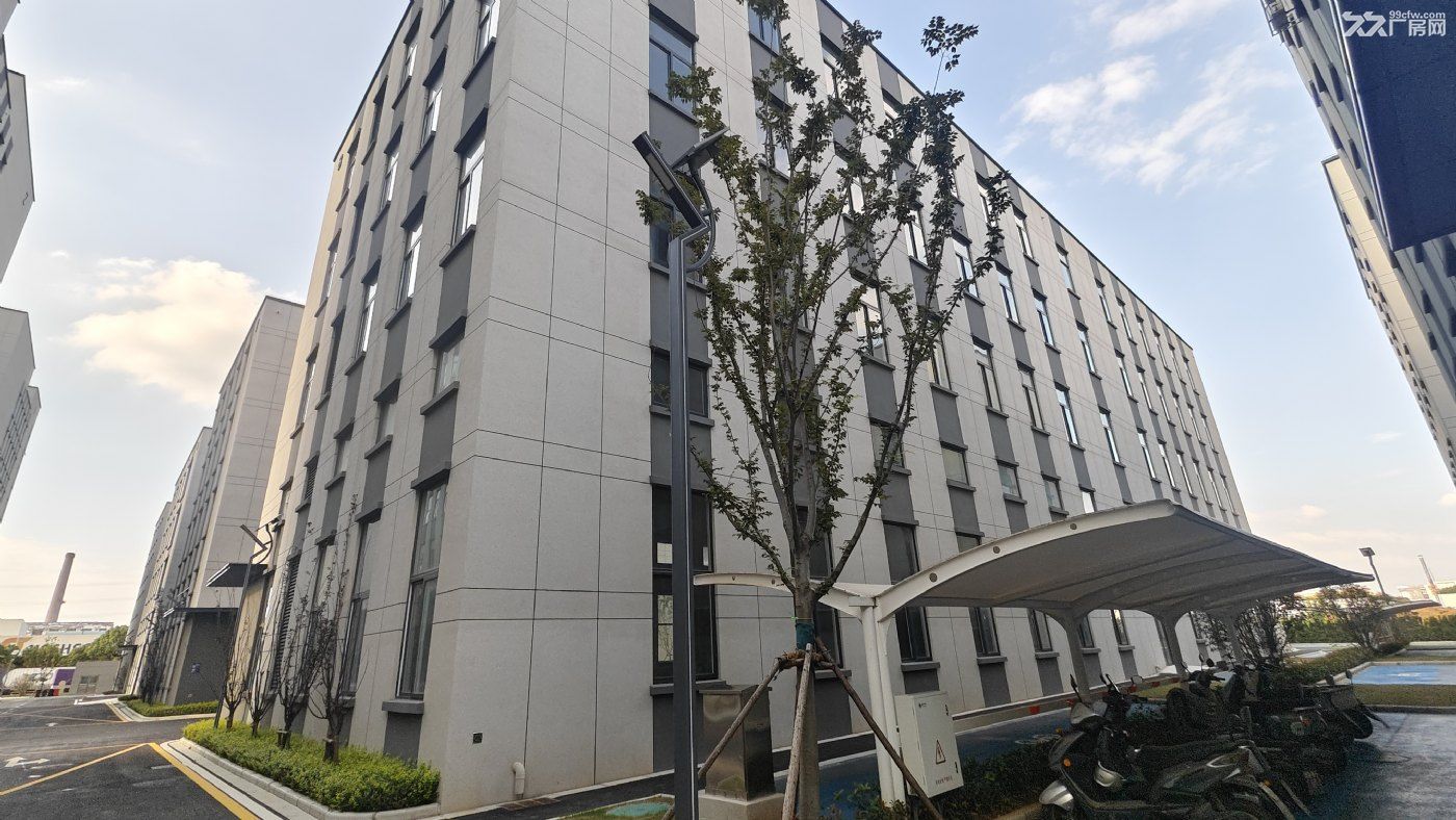 江宁高新区高性价比现房可租可售,500平起分割 - 3