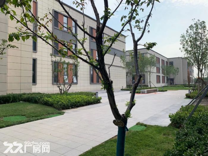出售 上海路附近 50年大产权 全新厂房  可环评 - 3