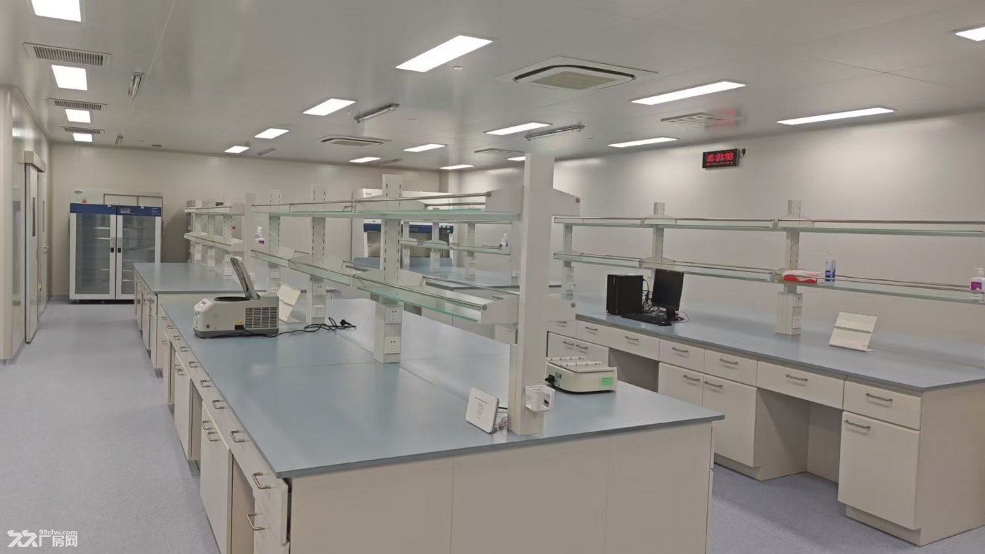 张江科学城 精装修办公室 精装实验室 可生物医药 化学合成 ，面积5百至2千平 - 3
