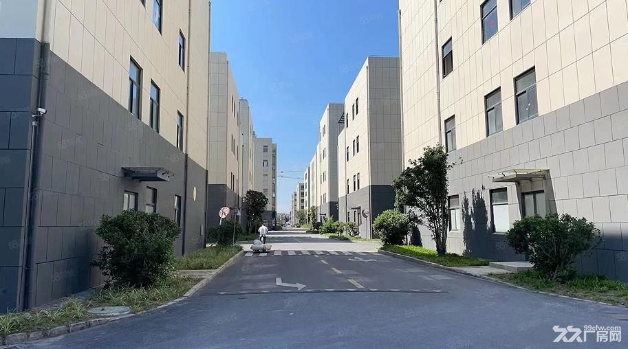松江G60智能电器产业园厂房出租，400平方米起租