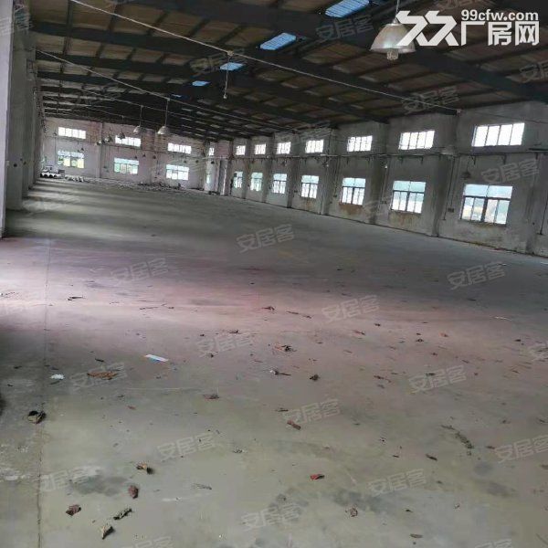 江门开平市金鸡镇80000平方工业园招商引咨，可分栋出租 - 7