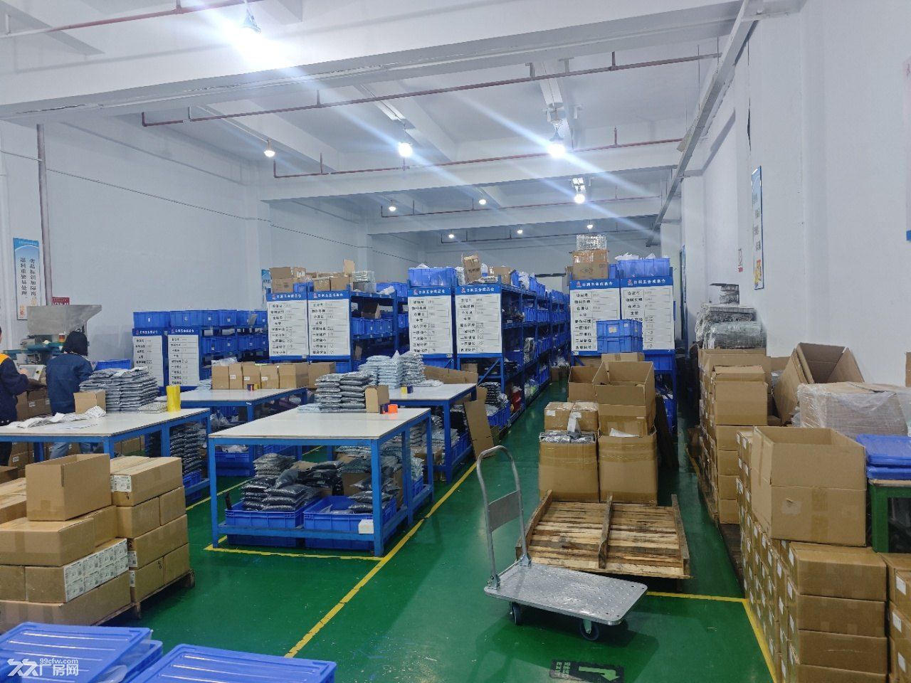 三中标准厂房独栋5300平厂房出租 - 4