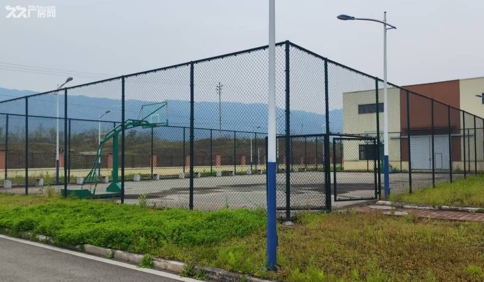 永川三教工业园高速口 3千-2万㎡ 即租即用 可分租 面议 - 8