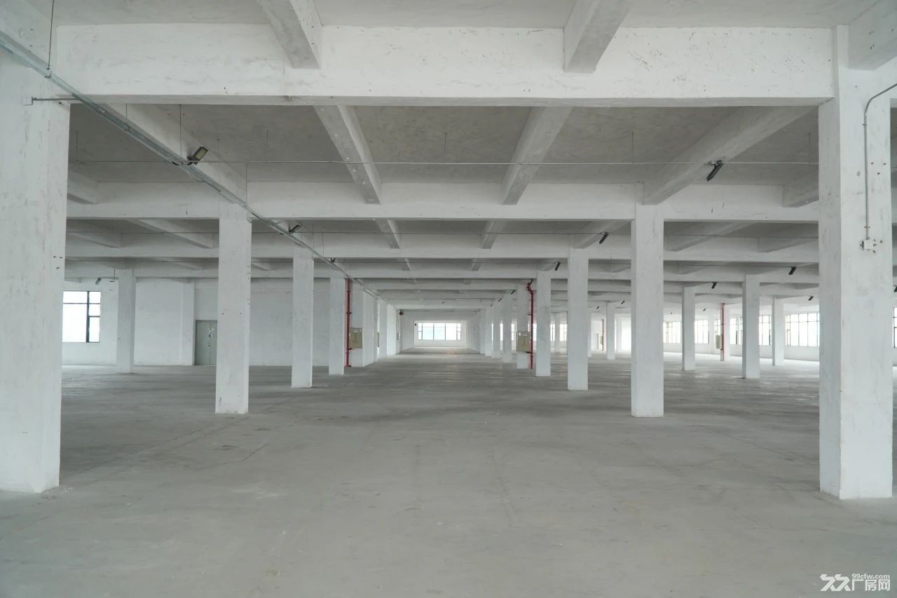 顺德大良五沙工业区四楼4500平刚需厂房招租 - 2