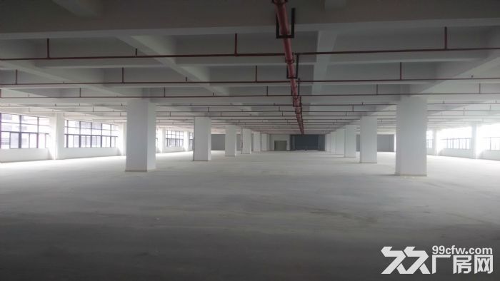 东莞市石排镇22000平方独院厂房出售(国有证件)