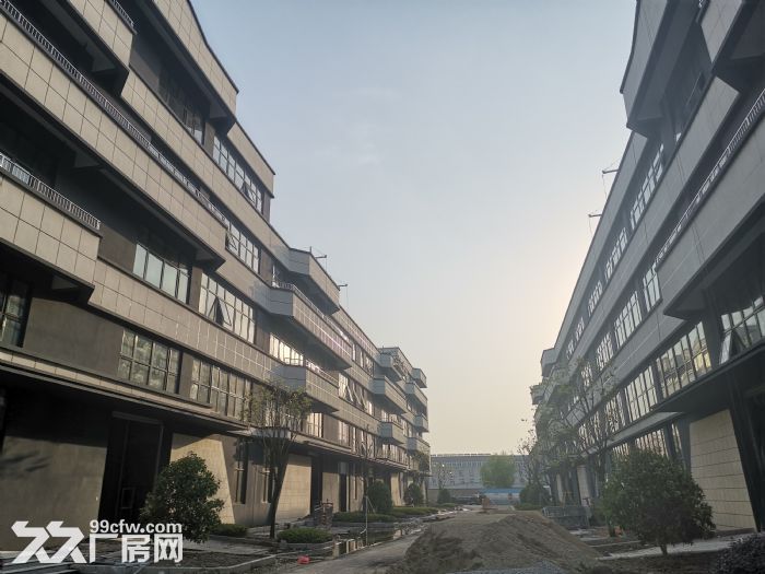 稀缺厂房开发商直售50年产权标准厂房3000平 - 6
