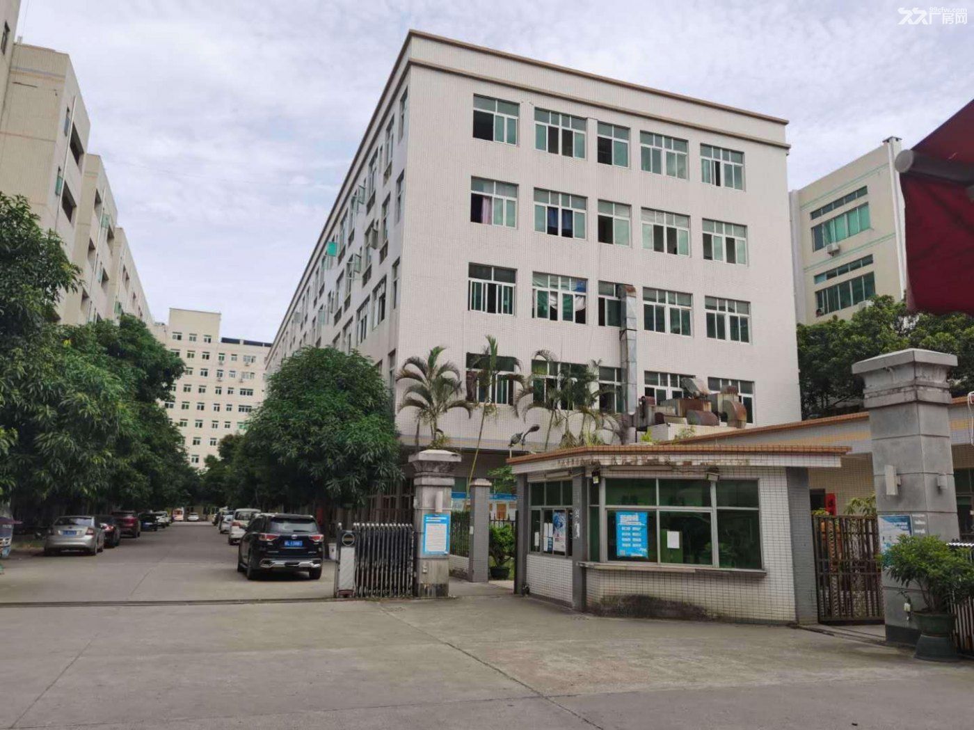 观澜原房东1万平独院独栋厂房仓库出租可分租可办环评 - 8