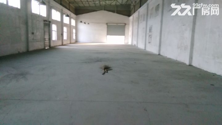 独门独院，全一楼厂房。独立厂房两栋。，可分租一栋。面500到