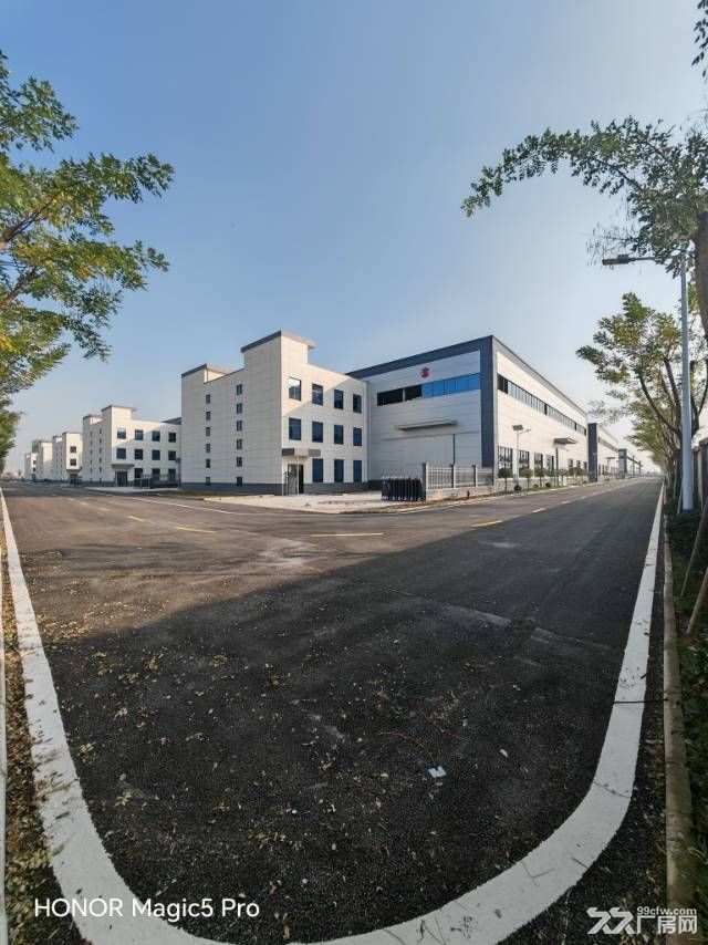 现房无限等待即买即入住 - 7