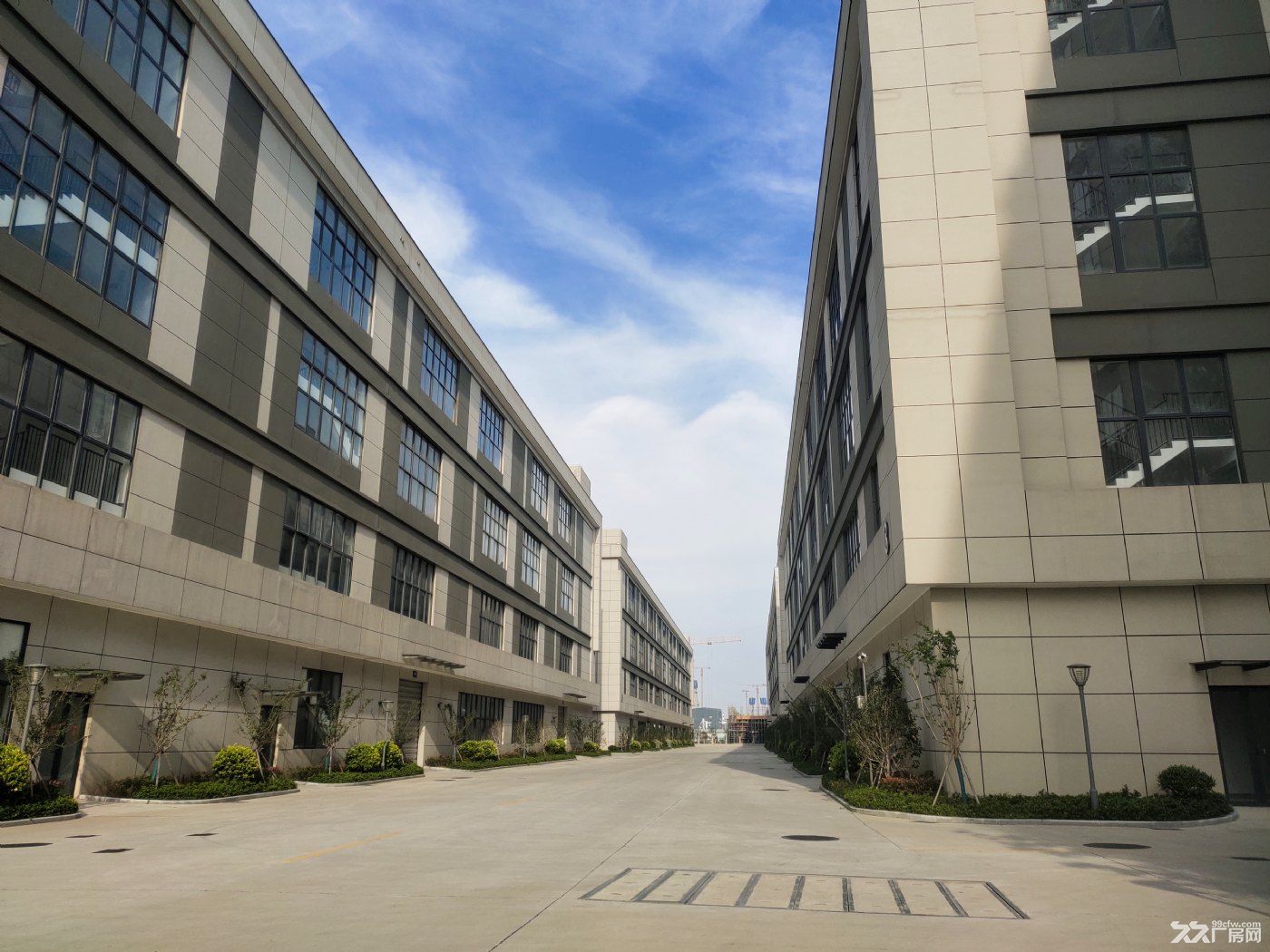非中介招宝山街道国企厂房全新一楼11米