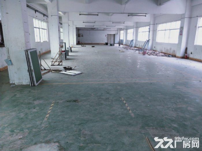 龙岗嶂背原房东3000平独栋厂房,可分租,在主干道,人流量大 - 4