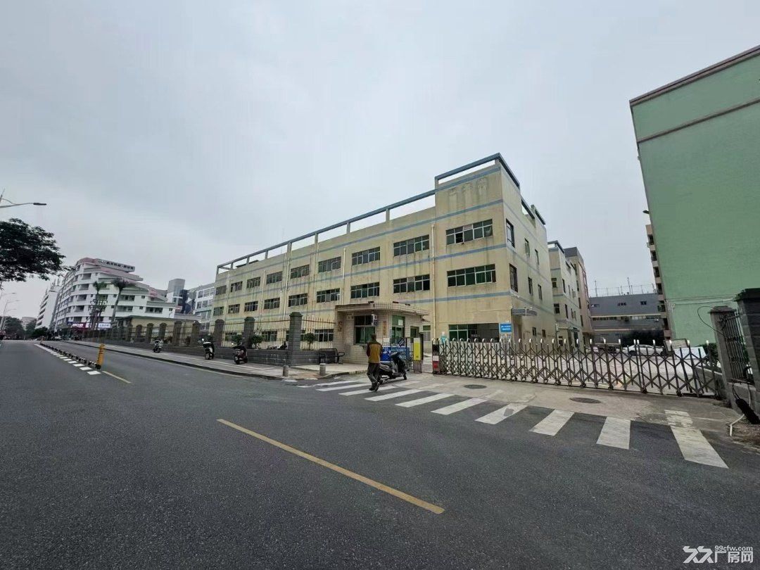 龙华油松独院红本厂房 全新升级整栋6500平厂房出租 - 4