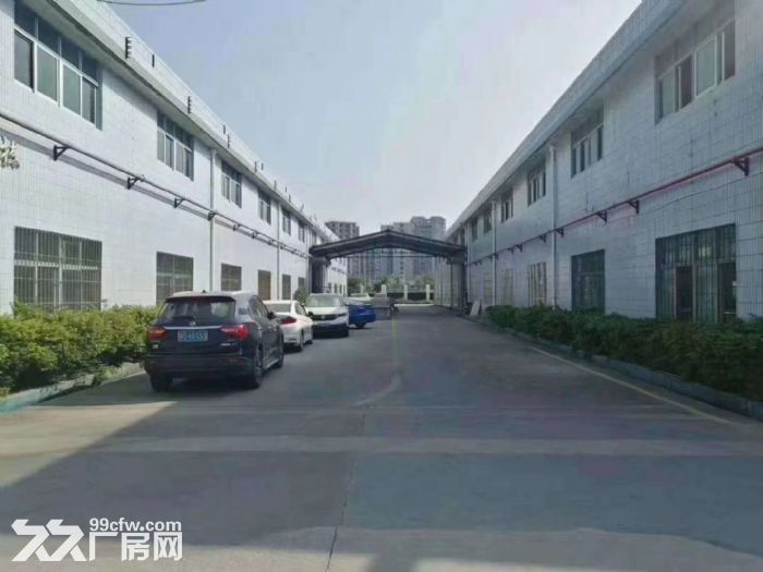 光明高速出口松白路旁 单一层钢构厂房出租6500平 - 3