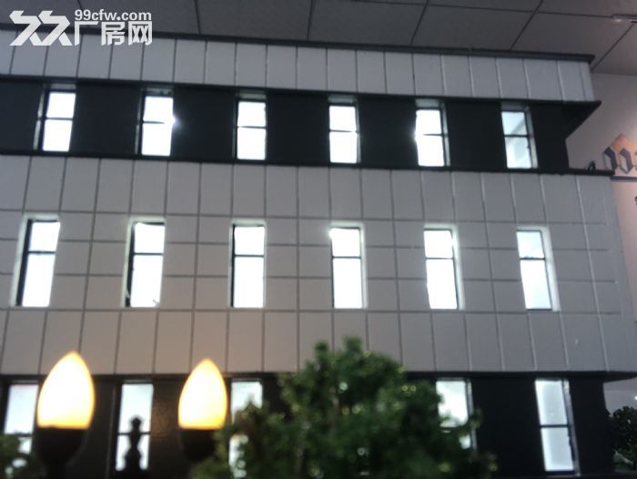 稀缺厂房开发商直售50年产权标准厂房2300平 - 5