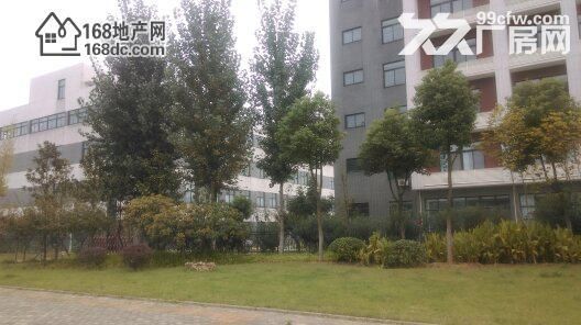 武汉吴家山九通路企业产权42亩园区1.6万方钢构整体出租/出售