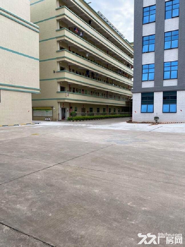 惠阳镇隆甘陂产业园全新独栋标准厂房12000平,原房东,可分租,可办环评 - 6