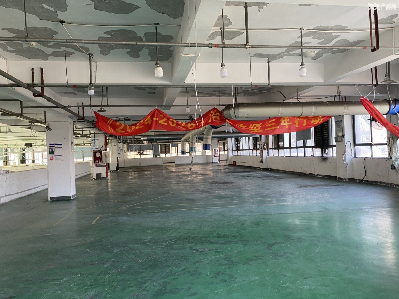 鞋都二期丽龙小微园区2楼1200平米厂房出租带1楼办公室 - 3
