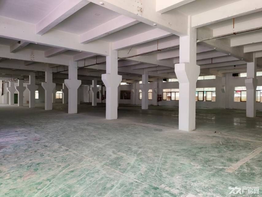 松岗罗田高速标准独院5500平方出租 - 6