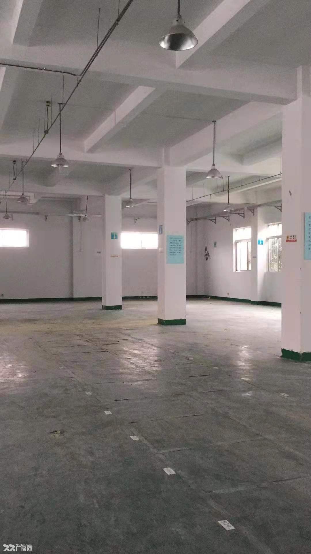 出租浦东，新场 医疗器械 检测 研发 组装 展厅 物流配送 电量大 - 2