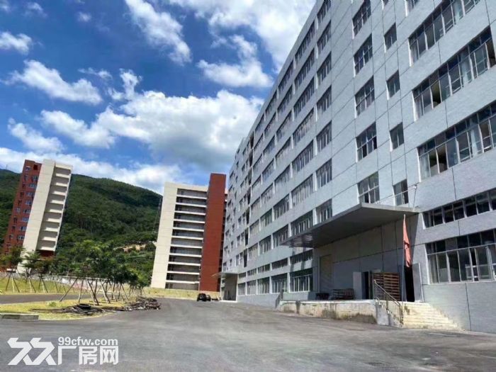 清溪全新红本工业园总面积13万平米招租 - 7