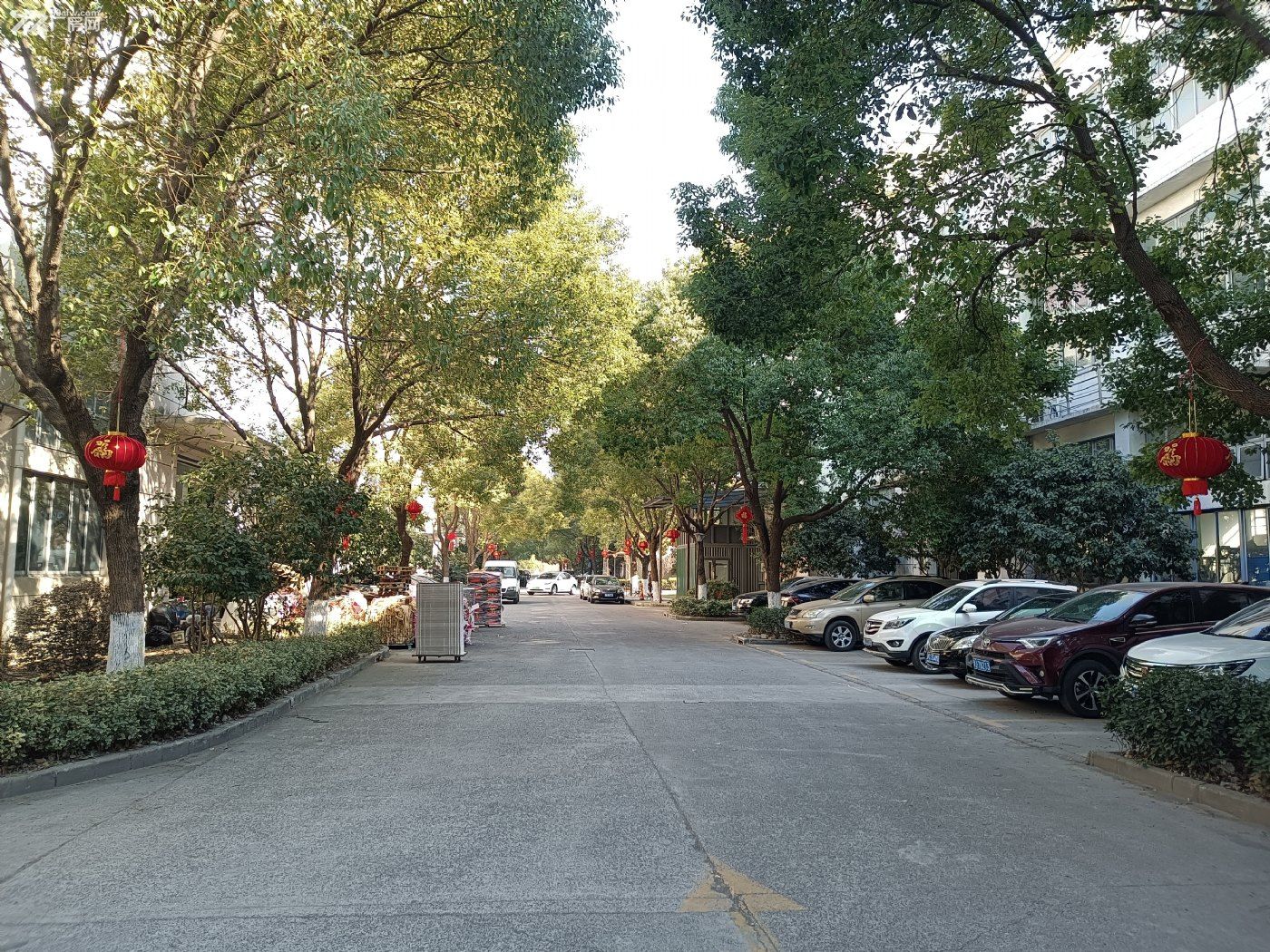 川沙川宏路699号标准工业厂房出租 - 7