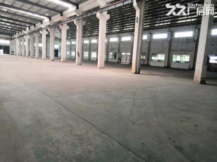 台山工业新城独院单一层厂房1000平方招租 - 4