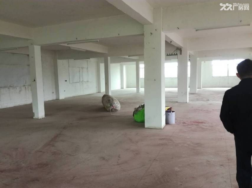 南安市大霞美低价厂房出租 - 3